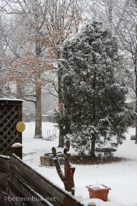 Beginning of snow storm of 2010