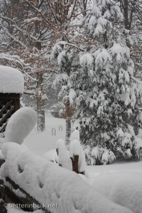 After the snow storm of 2010