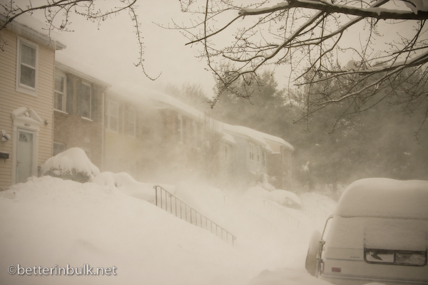 Blizzard of 2010