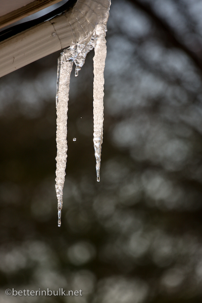 dripping icicles