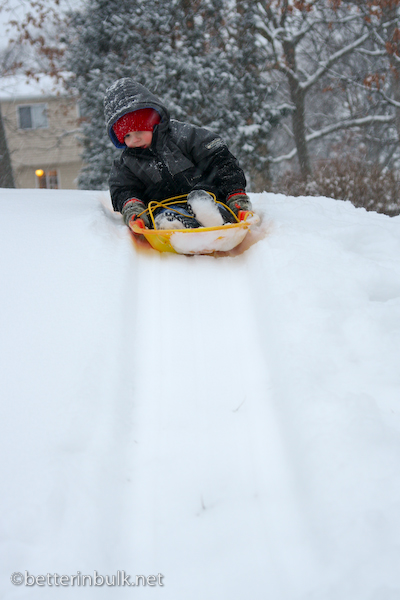 sledding