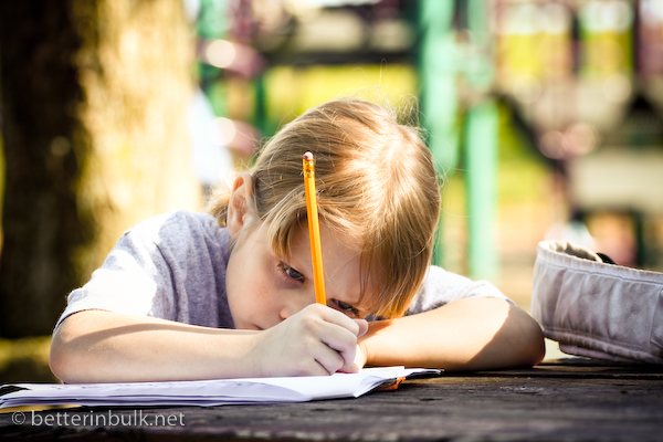 Park play. Doing homework in the shade.