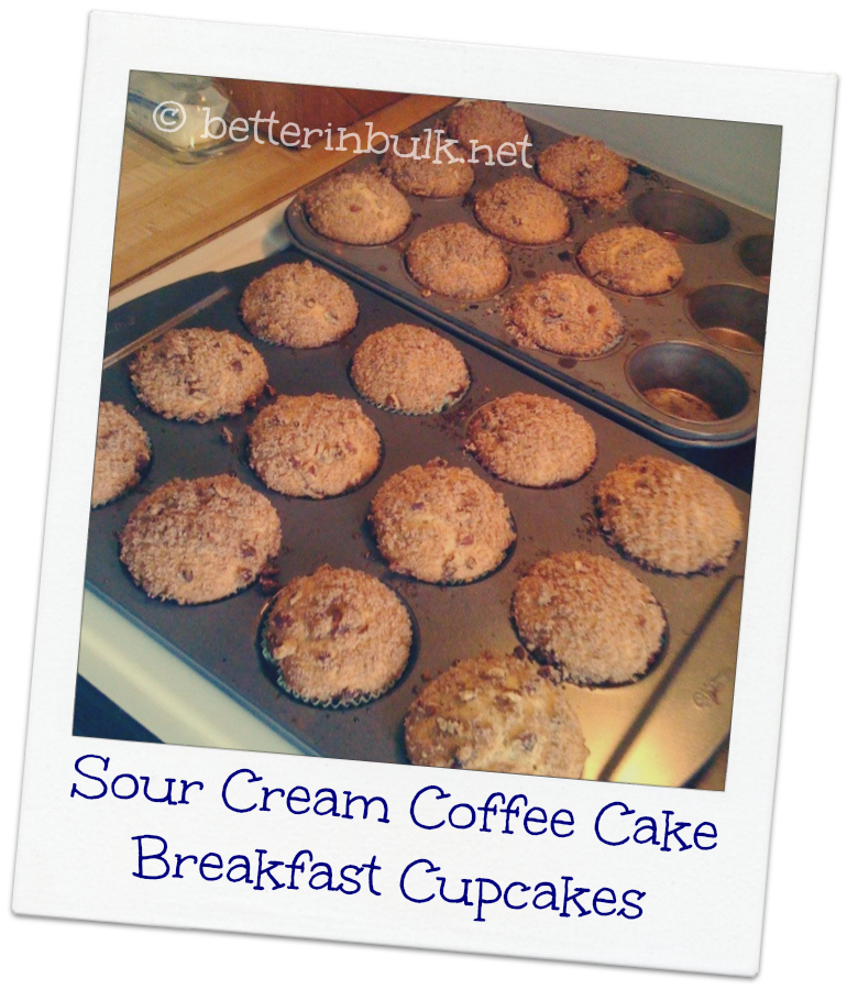 Sour Cream Coffee Cake Breakfast Cupcakes