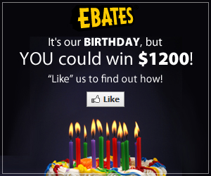 ebates 12th birthday bash