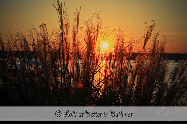 Fall Autumn Sunset on the Potomac