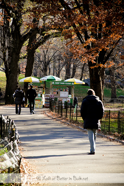 walk in central park