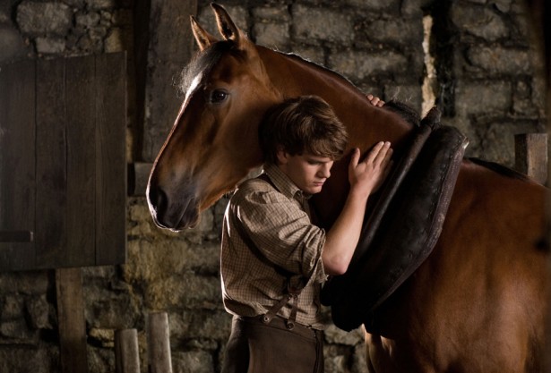 War Horse