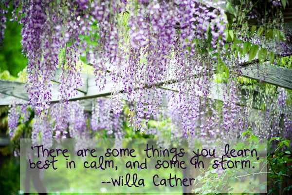 Willa Cather quote calm and storm