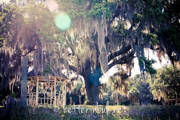 Makinson Island - Lake Tohopekaliga Kissimmee, FL