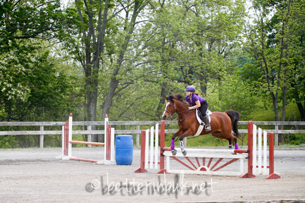 Maryland horse show