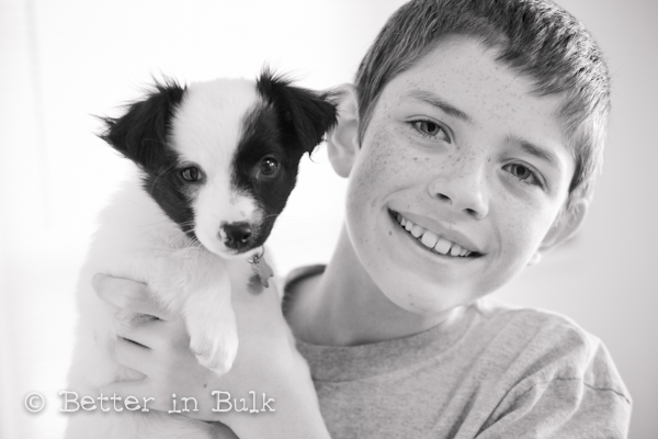 Happiness in black and white - puppies