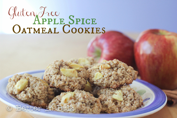 Gluten Free apple spice oatmeal cookies