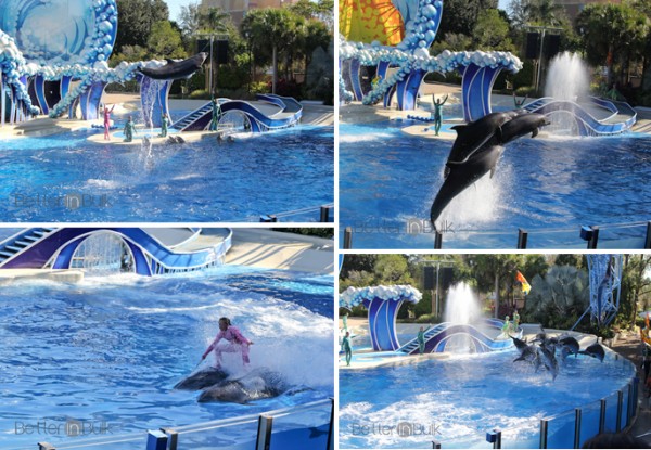 SeaWorld Orlando