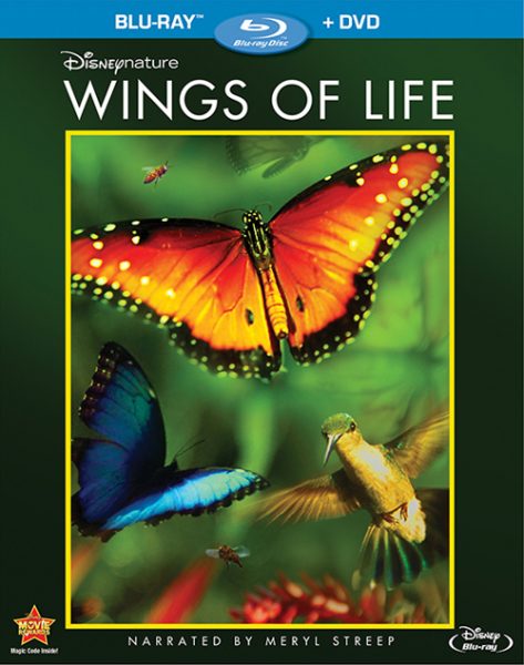 Disneynature Wings of life dvd