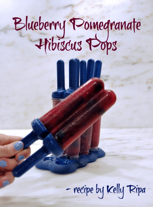 Kelly Ripa's Gourmet Popsicles- Blueberry Pomegranate Hibiscus Pops PerfectTemp