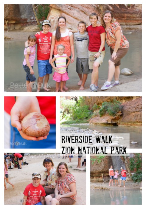 Zion National Park Weeping Rock Trail Shuttle Riverside Walk