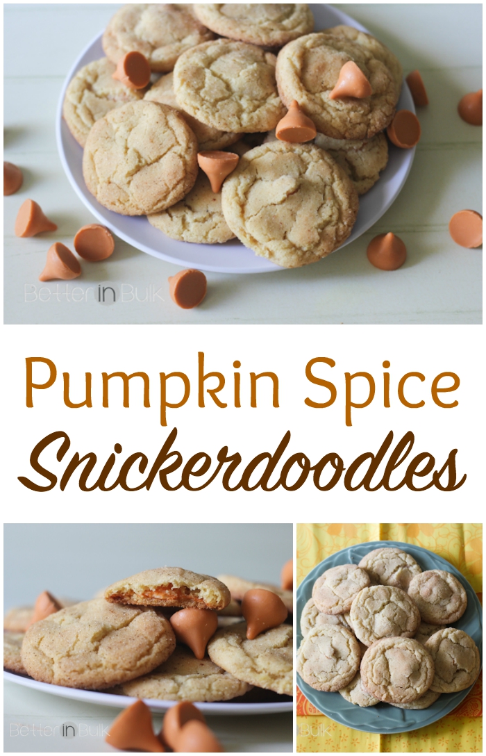 Pumpkin Spice Snickerdoodles by Better in Bulk