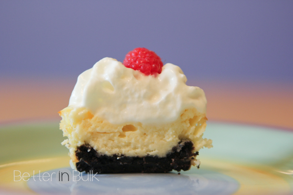 Mini Chocolate-Bottom Berry Cheesecakes