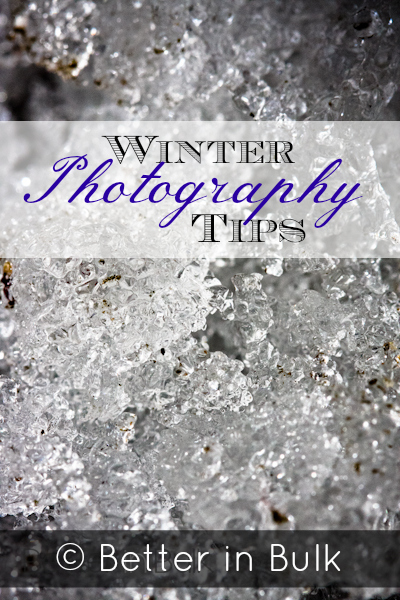 9 Winter Photography Tips For the Everyday Photographer