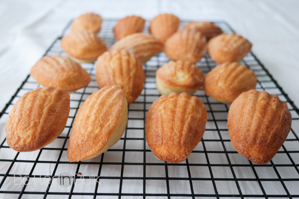 Madeleines cookie recipe