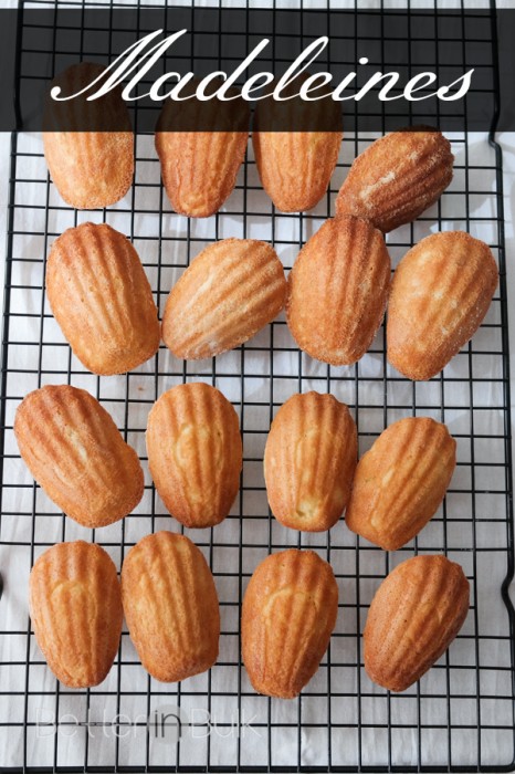 Madeleines cookie recipe