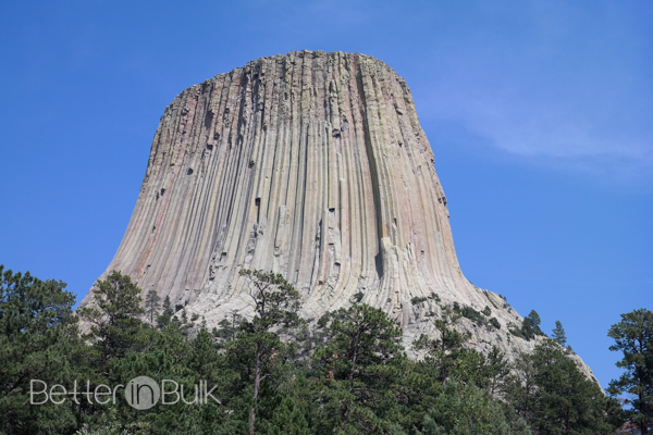 Devils Tower National Monument Wyoming