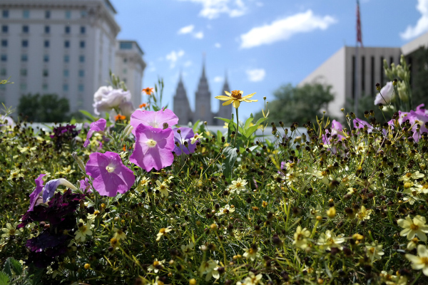 Salt Lake City Temple Square