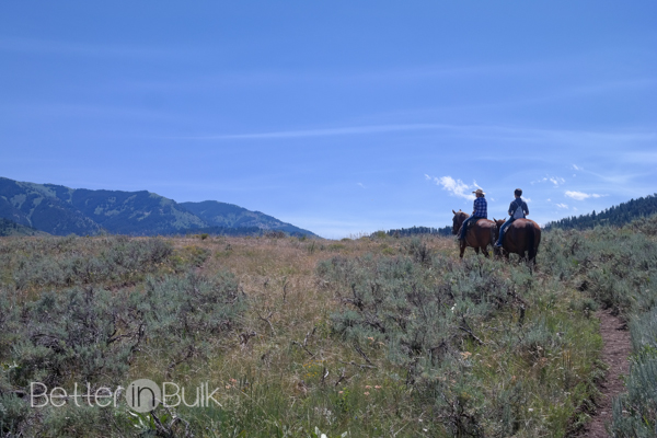 Horseback riding in Jackson Wyoming