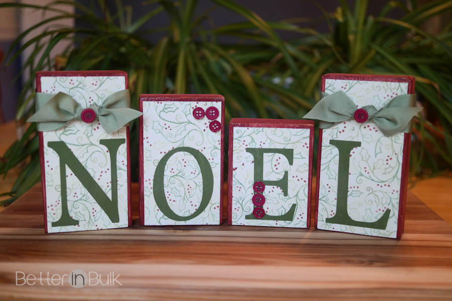 NOEL Christmas Craft