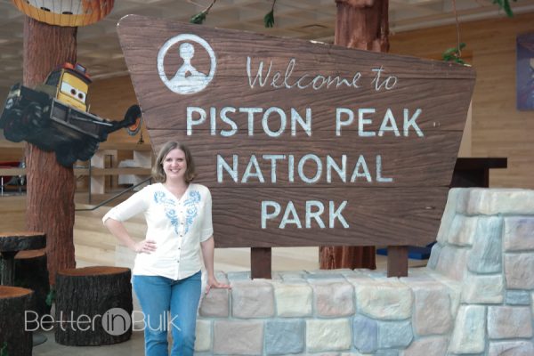 Planes Fire and Rescue Piston Peak National Park