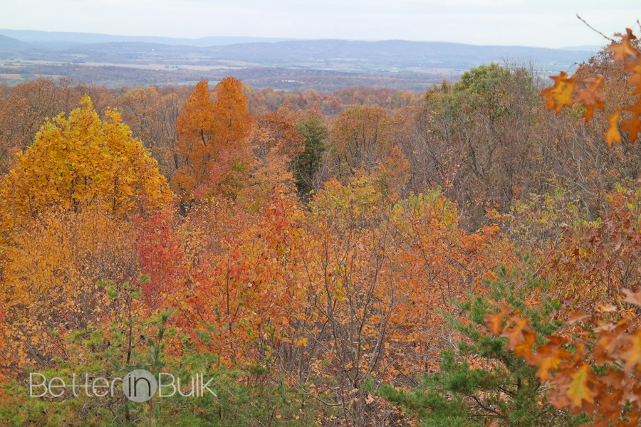 Sugarloaf Mountain