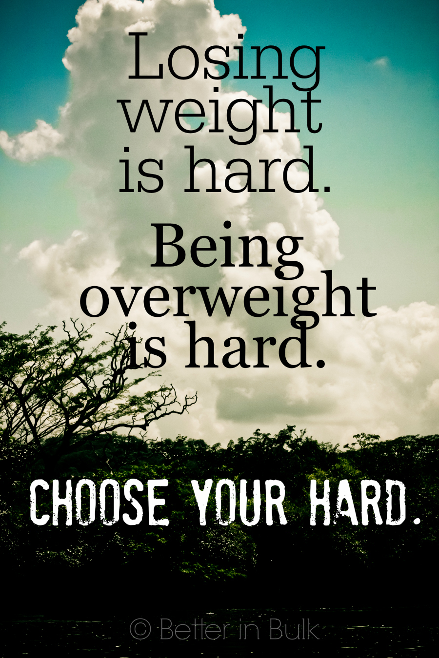 losing weight is hard....choose your hard #WeightWatchers