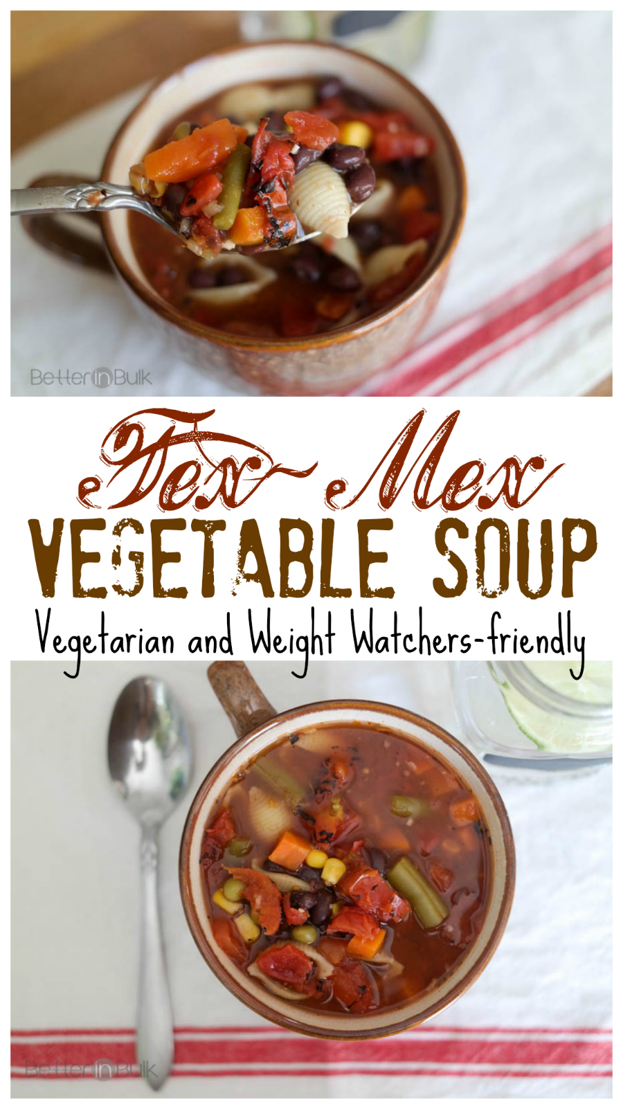 Tex-Mex Vegetable Soup