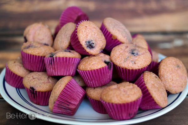 light applesauce blueberry muffins recipe