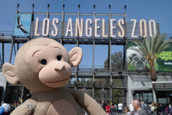 Los Angeles Zoo Monkey Kingdom