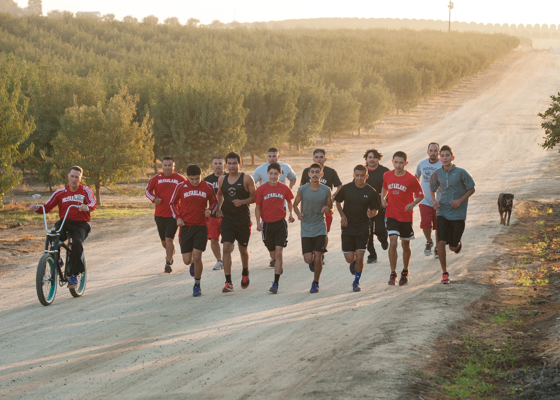 McFARLAND, USA blu-ray dvd