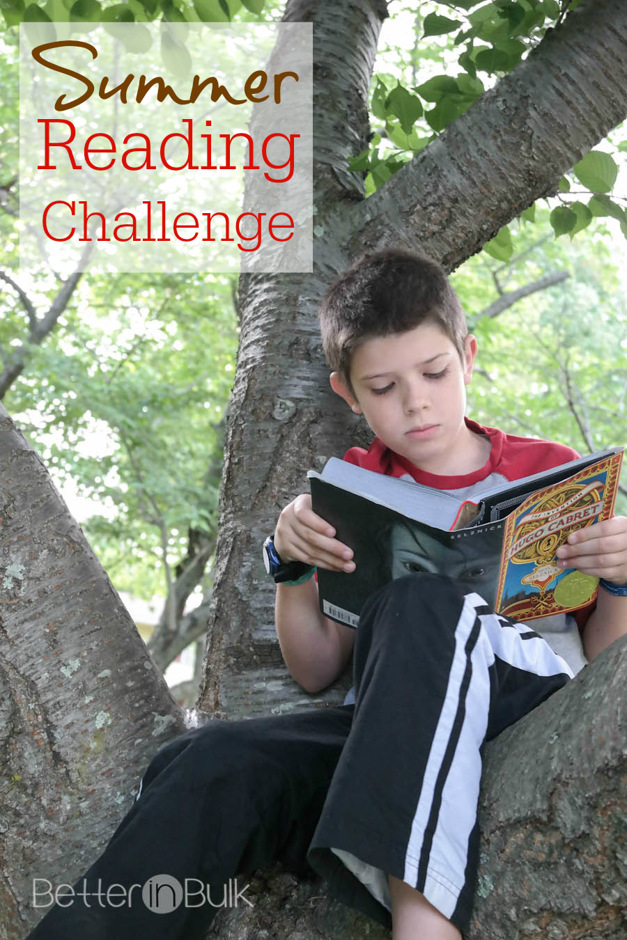 Scholastic summer reading challenge