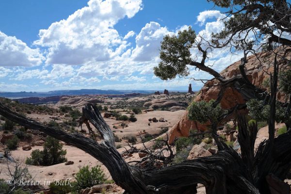 Arches National Park