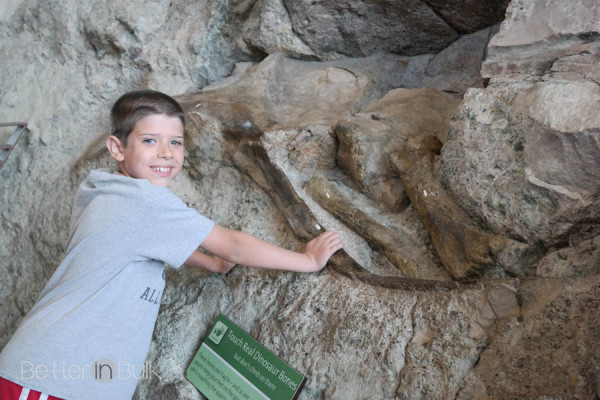 Dinosaur National Monument in Vernal Utah by Better in Bulk