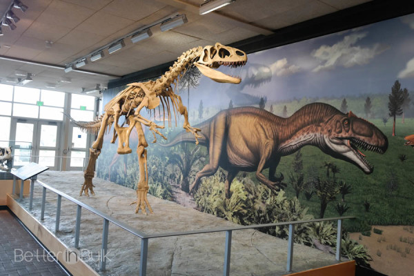 Dinosaur National Monument in Vernal Utah by Better in Bulk