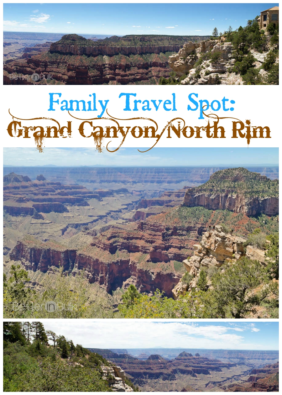 Family travel spot: Grand Canyon North Rim by Better in Bulk