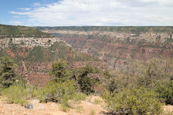 Family travel spot Grand Canyon North Rim by Better in Bulk