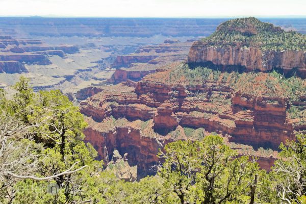 Family travel spot Grand Canyon North Rim by Better in Bulk