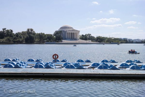 Tidal Basin Paddle Boats Washington DC