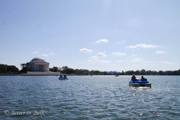 Tidal Basin Paddle Boats Washington DC