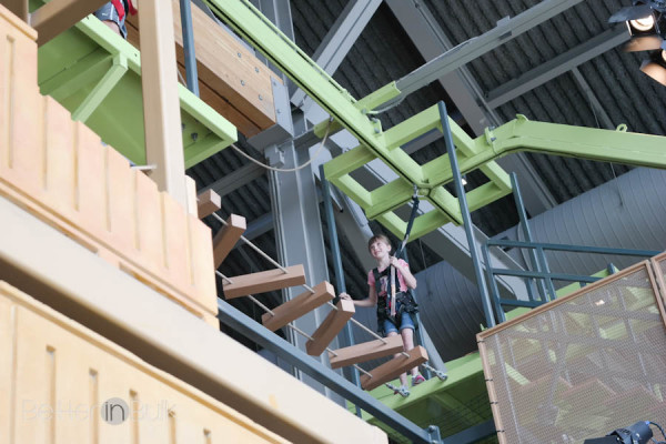 High ropes course at the Museum of Natural Curiosity