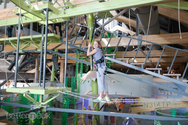 High ropes course at the Museum of Natural Curiosity