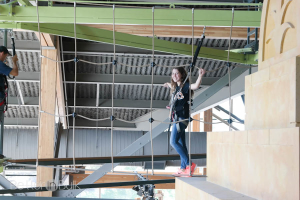 High ropes course at the Museum of Natural Curiosity