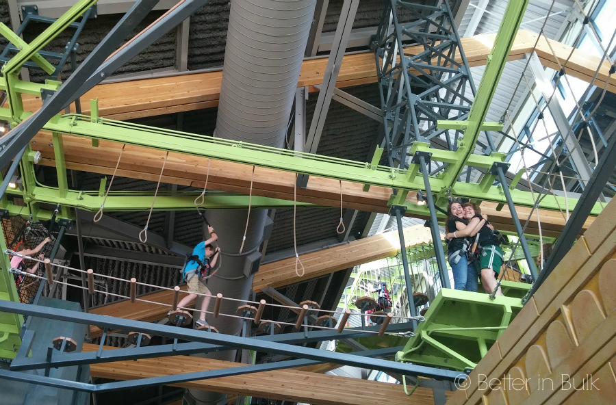 High ropes course at the Museum of Natural Curiosity