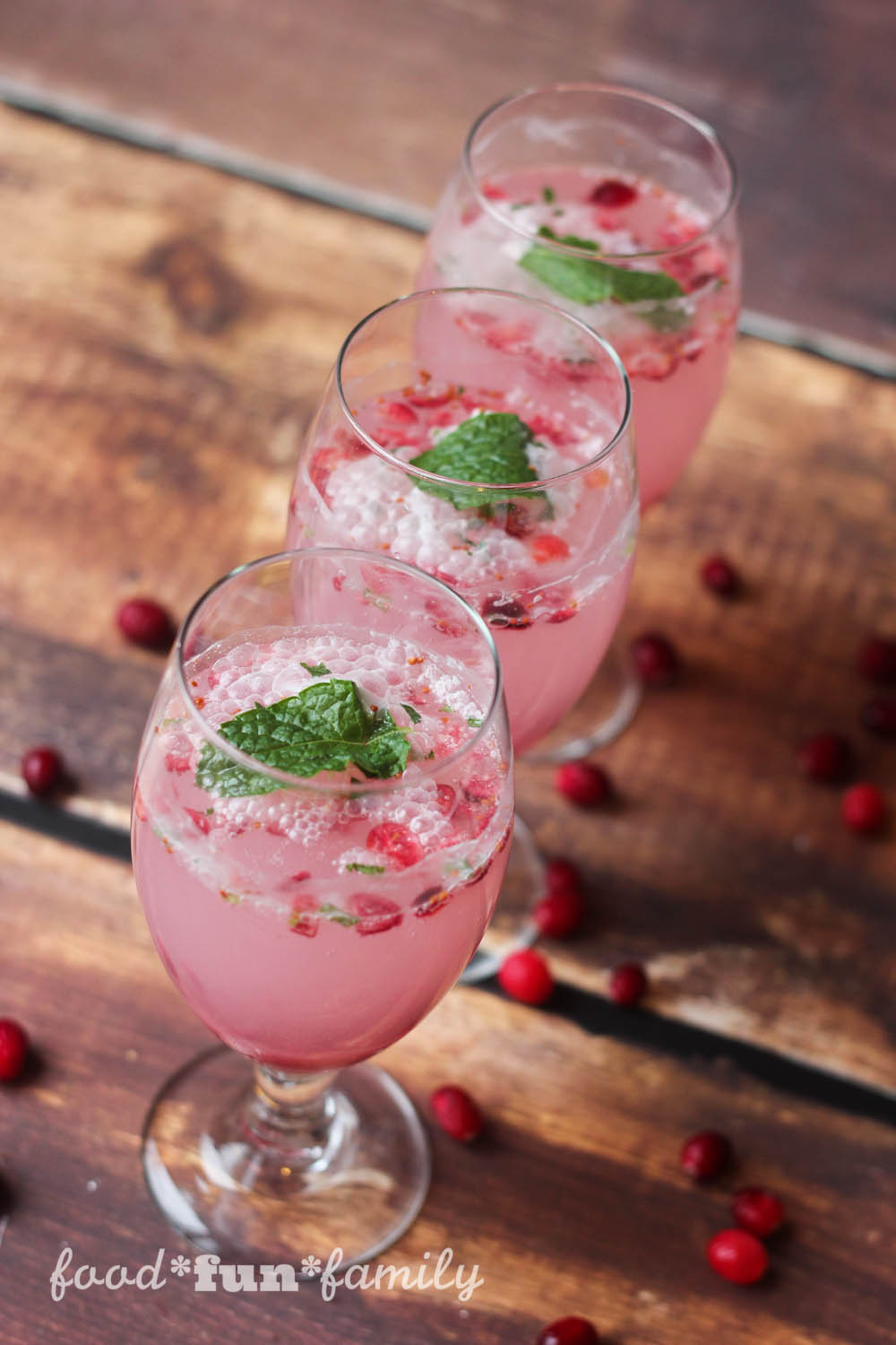 Sparkling Cranberry Mint Mocktail